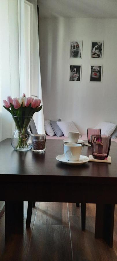 Apartmán Stan Na Dan Dunja 2 Vrsac Exteriér fotografie