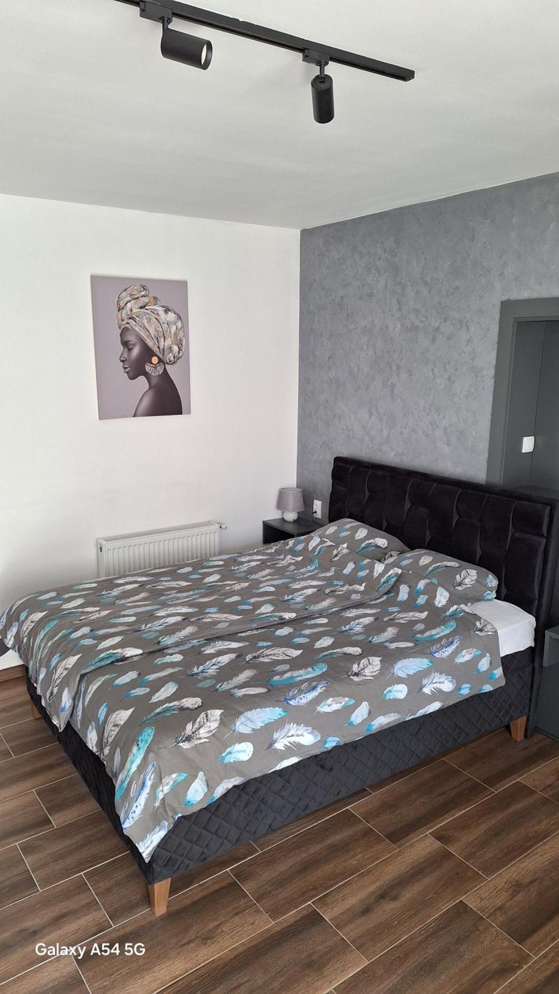 Apartmán Stan Na Dan Dunja 2 Vrsac Exteriér fotografie