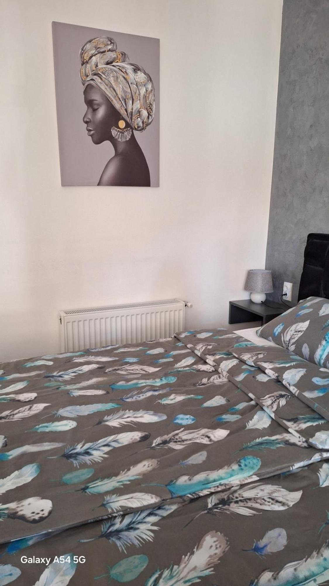 Apartmán Stan Na Dan Dunja 2 Vrsac Exteriér fotografie