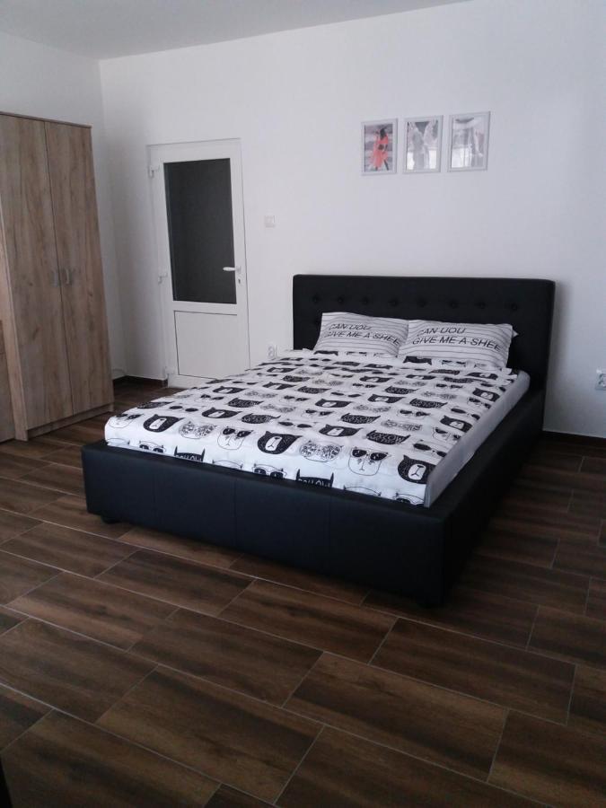 Apartmán Stan Na Dan Dunja 2 Vrsac Exteriér fotografie