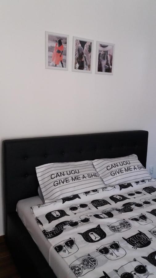 Apartmán Stan Na Dan Dunja 2 Vrsac Exteriér fotografie